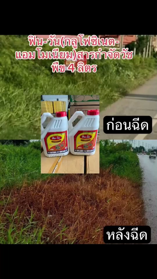 ฟิน วัน กลูโฟซิเนต คุมหญ้าแรง